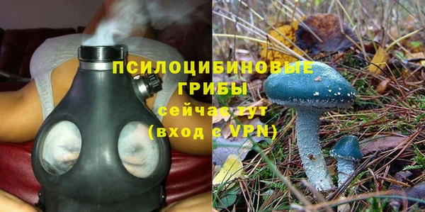 гашиш Медногорск