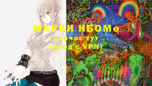 apvp Магас