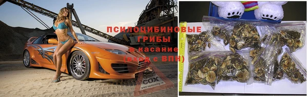apvp Магас