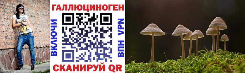 Псилоцибиновые грибы Magic Shrooms  где купить   hydra сайт  Вилюйск 